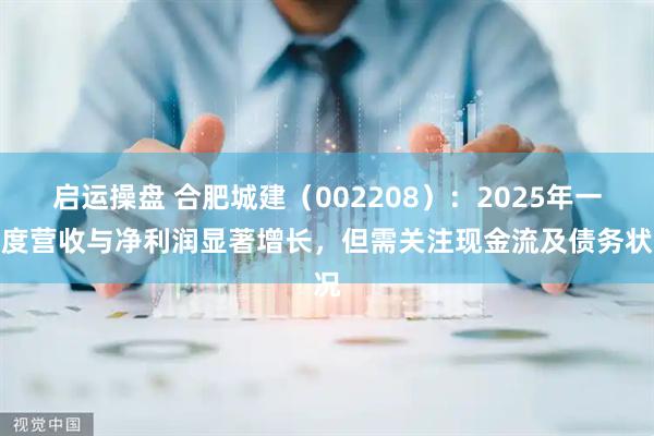 启运操盘 合肥城建（002208）：2025年一季度营收与净利润显著增长，但需关注现金流及债务状况