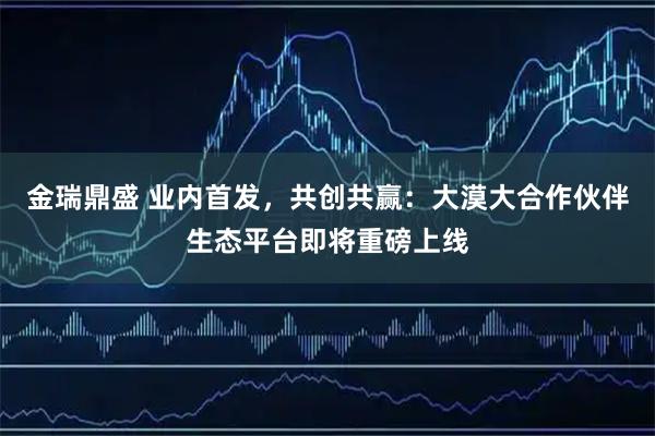 金瑞鼎盛 业内首发，共创共赢：大漠大合作伙伴生态平台即将重磅上线