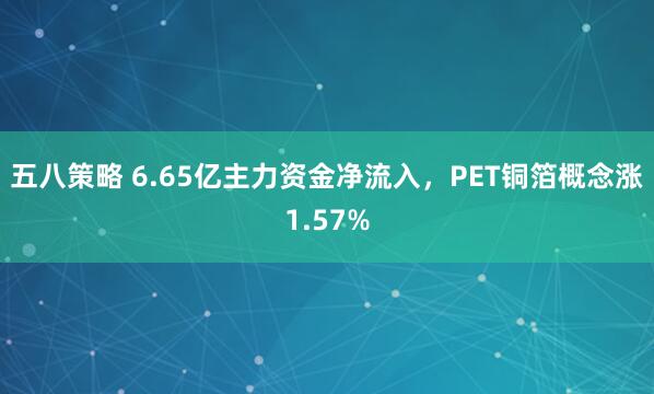 五八策略 6.65亿主力资金净流入，PET铜箔概念涨1.57%