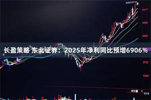 长盈策略 东北证券：2025年净利同比预增6906%