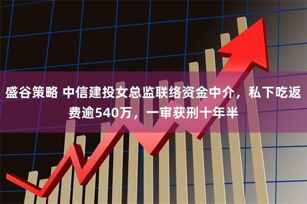 盛谷策略 中信建投女总监联络资金中介,私下吃返费逾540万,一审获刑十年半